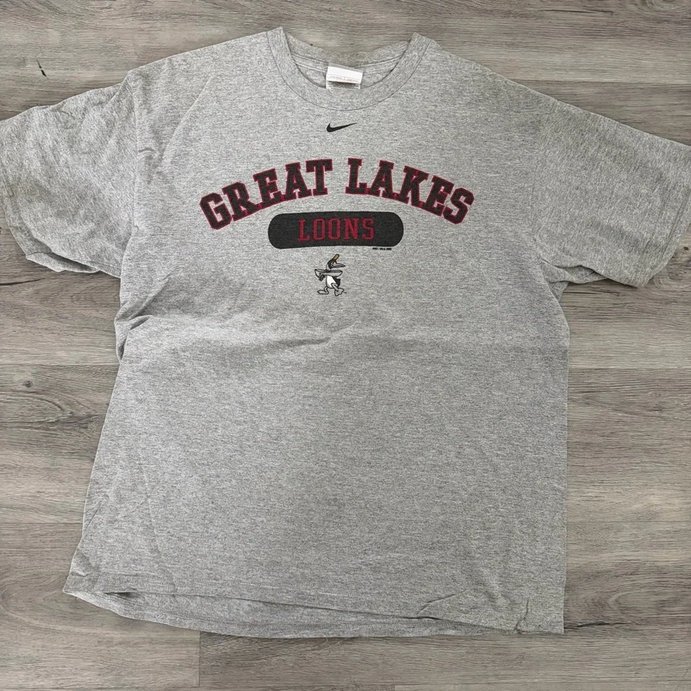 Nike Gray Great Lakes Graphic Men's T-Shirt
